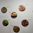 우리키친 | [이즈칸 서포터즈3기 ] 우리와 펫푸드 키친 공장투어 후기