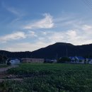 섬사랑펜션민박 이미지