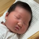 품애카페 | 서대문공공산후조리원 품애가득 입소 8일차