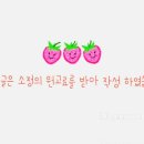 정자참가자미 이미지