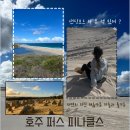 아름다운 하동 강숲별 그리고 바다 | [퍼스여행] 혼자 당일치기 피나클스 사막 투어 후기