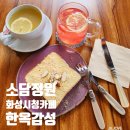 레몬비 화성1호점 | 화성시청 카페 조용한 작업하기 좋은 소담정원 재방문 후기 비오는날 더 좋은 소담정원 힐링 공간