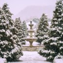 프렌치&가든플라워 이미지