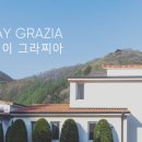 스테이그라찌아 이미지