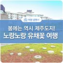 한화리조트제주 이미지