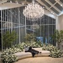 경성뷔페 | W04. 대구 웨딩홀 투어 | 노비아갈라 동촌 계약 후기 (27년 상반기 견적 공유)(시그니아홀/포레아홀)