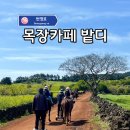 제주 아이랑 가세요? 여긴 꼭 필수! 목장카페 밭디 승마체험 후기!