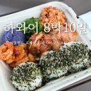 파카이 | [하와이] 빅아일랜드 코나 포케 맛집 파카이 PA'AKAI 후기(다포케쉑 비교)