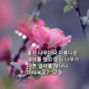 좋은열매