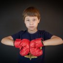 복싱크래쉬 이미지