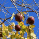 영성농장 이미지