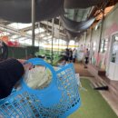 파란목장 | 김포 연보람목장 아이랑 체험 후기 체험시간 예약 주차 비용 총정리