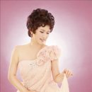 트로트 효 콘서트 이미지