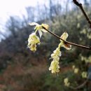 광영농장 이미지