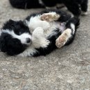 일명농장 이미지