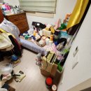 대전 서구 다세대 주택 먼지다듬이 퇴치 작업 후기