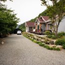 개나리민박 이미지