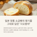 일본 정통 소금빵의 향기를 그대로 담은 ‘시오팡야’, 롯데백화점 팝업매장 방문 후기