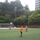 티볼 이미지