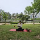 건강 요가-A | 요가 ｜요가 지도자과정 8주차_야외요가부터 차투랑가, 시르사나까지 TTC 수련 후기