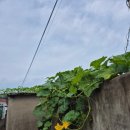 하늘빛 닭섬 이미지