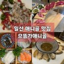 지추밤날골 | 일산 애니골맛집 한우 정육식당 으뜸가애니골