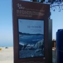 몽돌2020 이미지