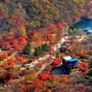 호남 지역의 금강산 내장산을 품은... 전북 정읍 가볼만한 곳 BEST4 이미지