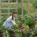 바른먹거리 이미지