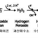 산화환원전위 ORP 이미지