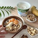 ㈜나래식품 | 풀무원다논 액티비아 컵 화이트 플레인 400g 대용량 저지방 요거트