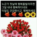 감성살림
