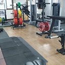 화성바벨클럽 이미지