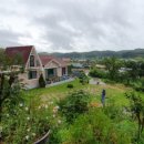 아로니아민박 이미지