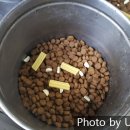 와일드캉갈 이미지