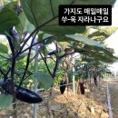 동락원