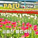 국민건강보험공단 파주지사 | 파주 공릉천 튤립 축제 위치 주차장 개화상황 후기