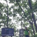 국사봉 이미지
