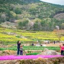 남해가봄 이미지