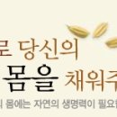 이든 네이처 이미지