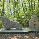 신의 젖줄 네이버블로그
