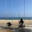 초당솔향약국 이미지