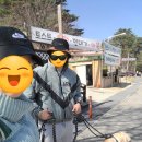 경기도 포천 더히로플레이그라운드 애견카페, 펜션(대형견가능)