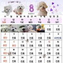 더엘동물의료센터 네이버블로그