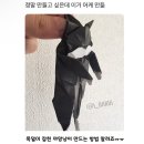 11월 일상 3 - 가을위에 쌓인 폭설과 함께 겨울 시작