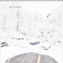 266 | 수도권 근교 강원도캠핑장 추천,알지캠프266 후기