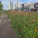 다율교차로 사거리 이미지