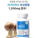 엔케이(NK) | 4050추천 영양제 엔케이365 NK세포 집중 케어해본 솔직후기