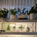 잠안삼성쉐르빌 상가 | 목동에스테틱 추천 힐링피부관리실에서 시원하게 후면관리받은 후기