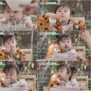 하하칼국수 bnt뉴스